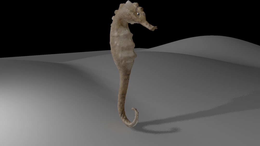 3D render of a seahorse